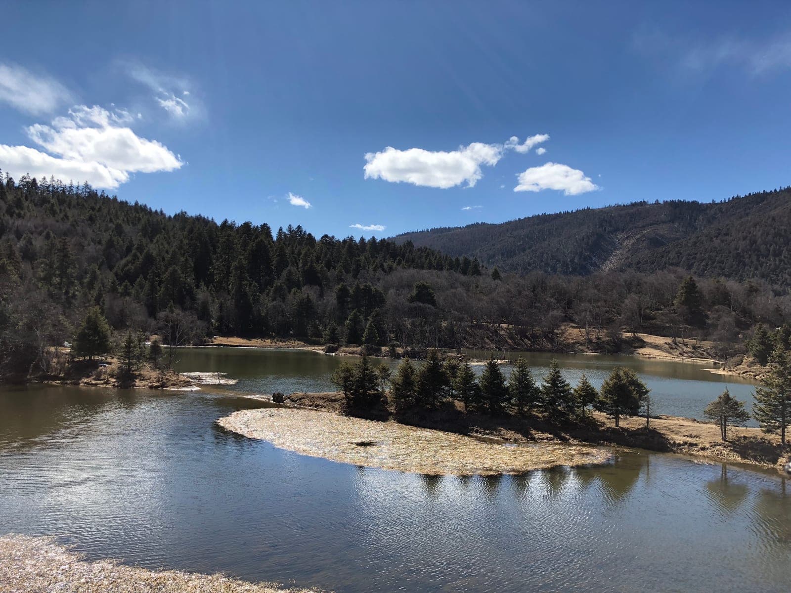 Alpine lake surrounded by pine forest, far from cell coverage